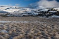 Hedley Tarn_20060528_073